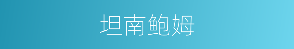 坦南鲍姆的同义词