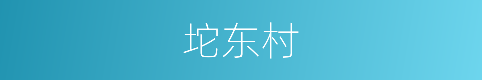 坨东村的同义词