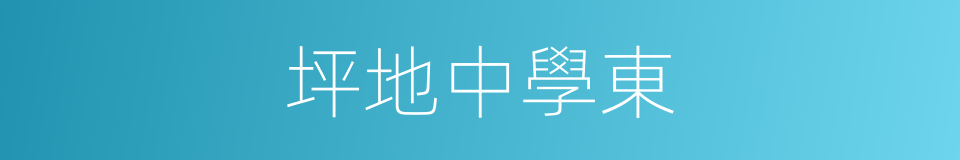 坪地中學東的同義詞