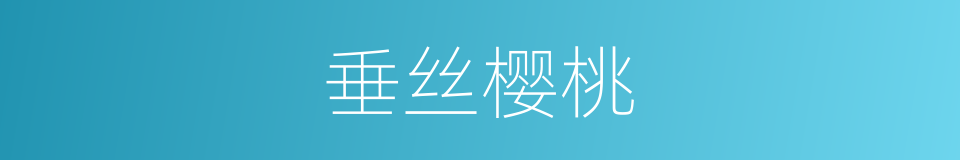垂丝樱桃的同义词