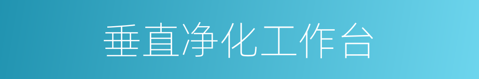 垂直净化工作台的同义词