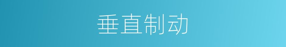 垂直制动的同义词