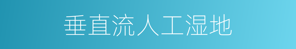 垂直流人工湿地的同义词