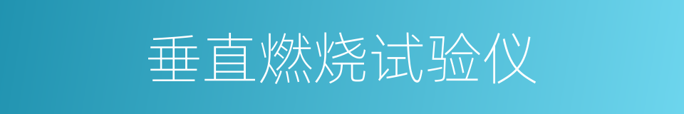 垂直燃烧试验仪的同义词