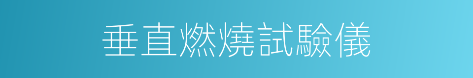 垂直燃燒試驗儀的同義詞