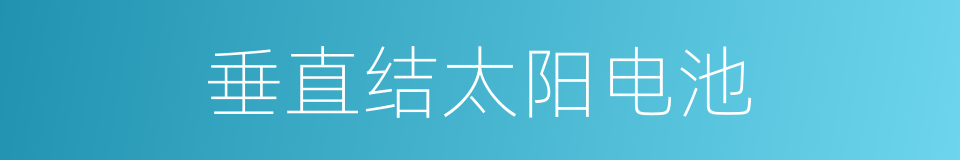 垂直结太阳电池的同义词