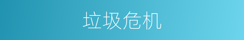 垃圾危机的同义词