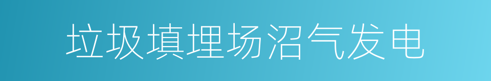 垃圾填埋场沼气发电的同义词