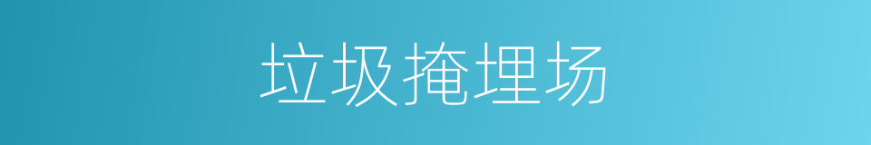 垃圾掩埋场的同义词