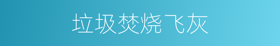 垃圾焚烧飞灰的同义词