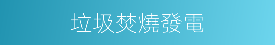 垃圾焚燒發電的同義詞
