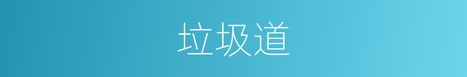 垃圾道的同义词