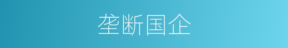 垄断国企的同义词