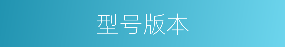 型号版本的同义词