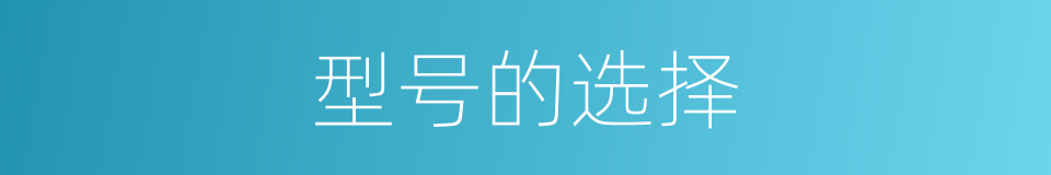 型号的选择的同义词