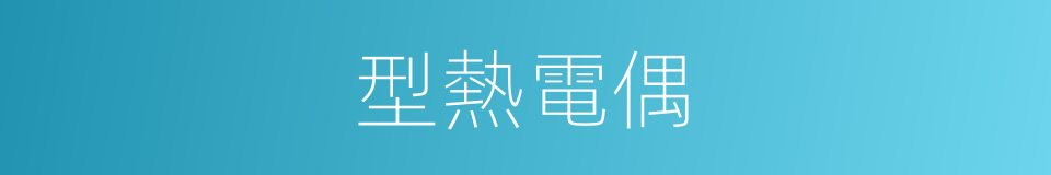 型熱電偶的同義詞