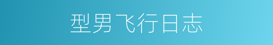型男飞行日志的同义词