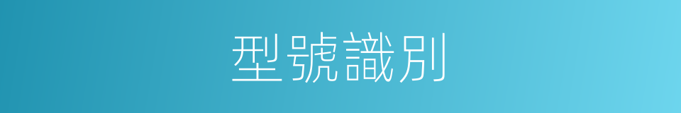 型號識別的同義詞