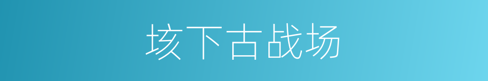 垓下古战场的同义词