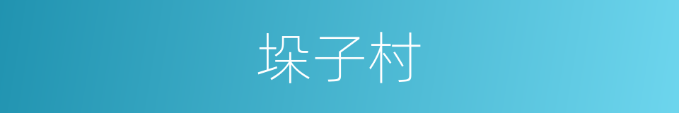 垛子村的同义词