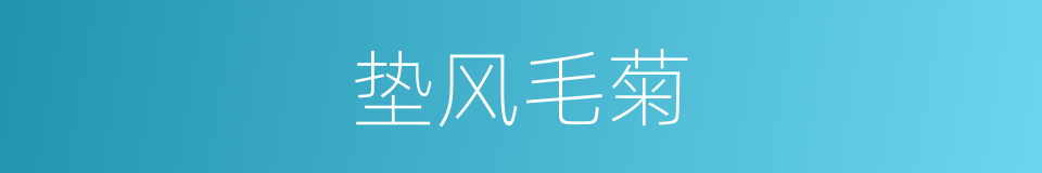 垫风毛菊的同义词