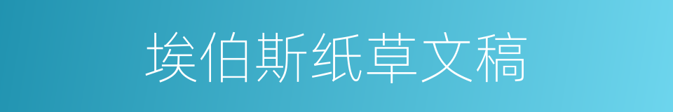 埃伯斯纸草文稿的同义词