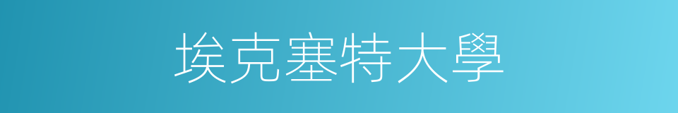 埃克塞特大學的同義詞