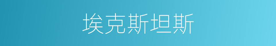 埃克斯坦斯的同义词