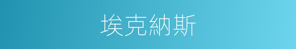 埃克納斯的同義詞