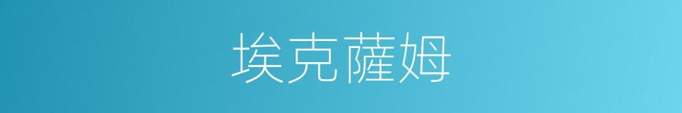 埃克薩姆的同義詞