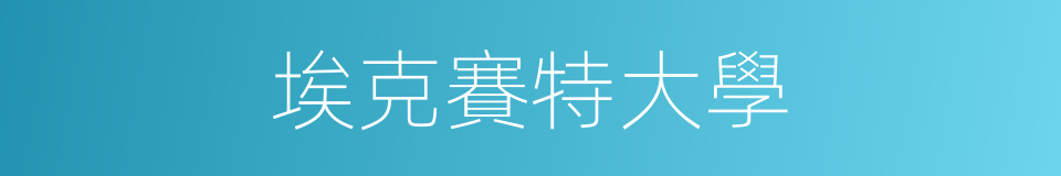 埃克賽特大學的同義詞