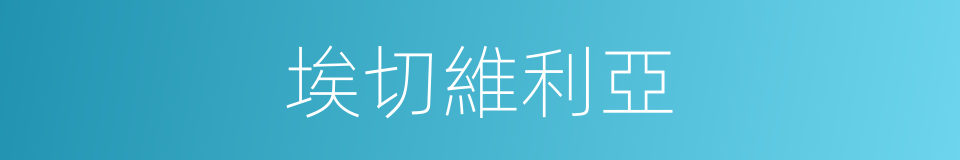 埃切維利亞的同義詞