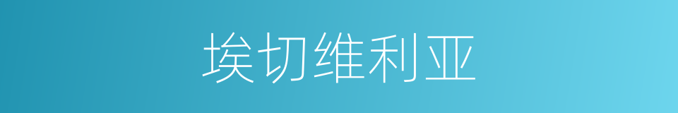 埃切维利亚的同义词