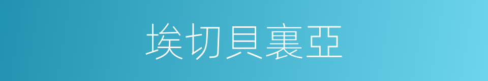 埃切貝裏亞的同義詞