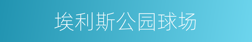 埃利斯公园球场的同义词