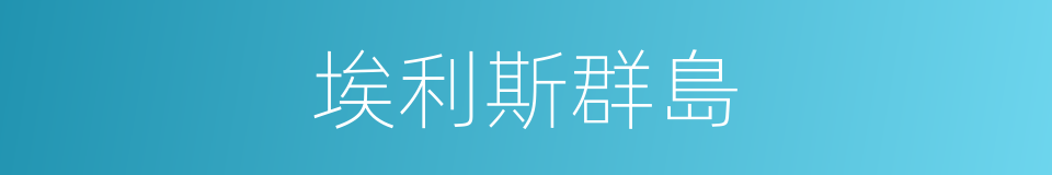 埃利斯群島的同義詞