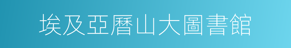 埃及亞曆山大圖書館的同義詞