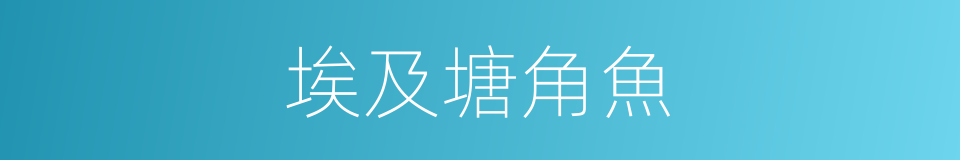 埃及塘角魚的同義詞