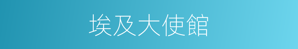 埃及大使館的同義詞