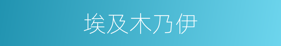 埃及木乃伊的同义词