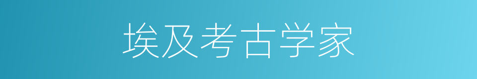 埃及考古学家的同义词