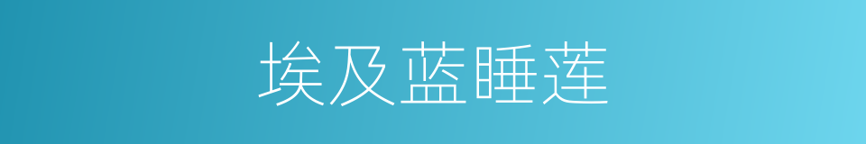 埃及蓝睡莲的同义词