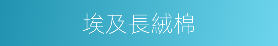 埃及長絨棉的同義詞