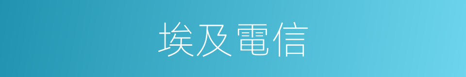 埃及電信的同義詞