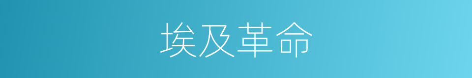 埃及革命的同义词