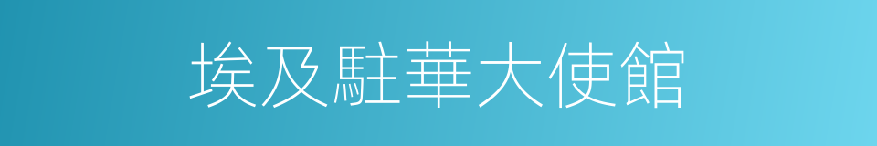 埃及駐華大使館的同義詞