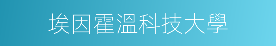 埃因霍溫科技大學的同義詞