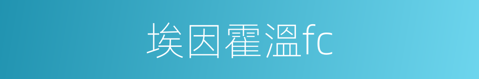埃因霍溫fc的同義詞