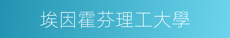埃因霍芬理工大學的同義詞