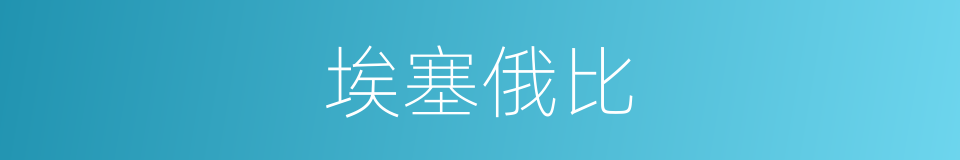 埃塞俄比的同义词